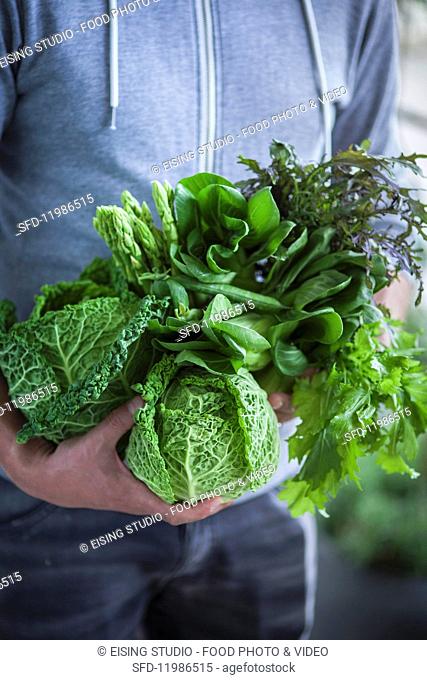 Green superfood vegetables: cabbage, asparagus and salad leaves