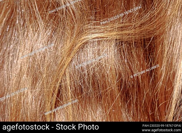 23 February 2023, Hamburg: The long reddish-blond hair of a young woman shines in the light. Photo: Markus Scholz/dpa/picture alliance/dpa | Markus Scholz