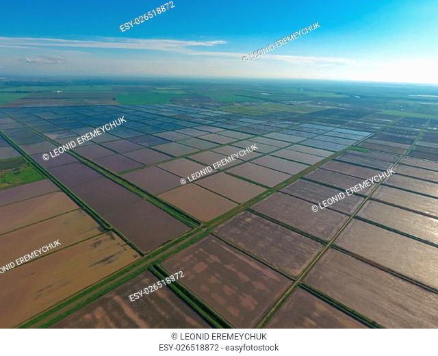 Flooded rice paddies. Agronomic methods of growing rice in the fields. Flooding the fields with water in which rice sown. View from above