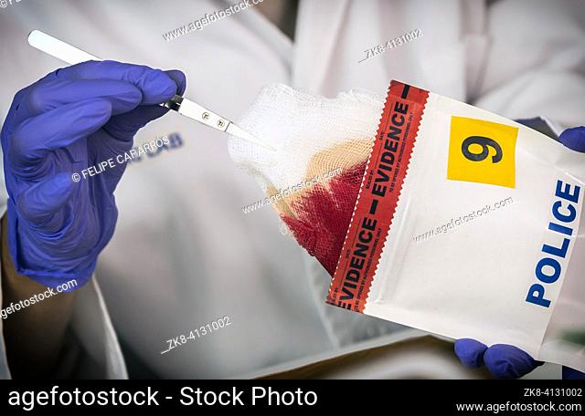 Police scientist removes piece of bloody clothing to analyze suspect's DNA in crime lab, conceptual image