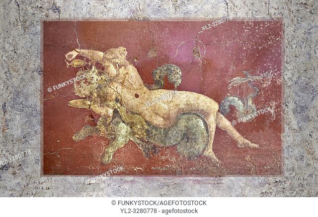 Detail of the Roman fresco wall painting of a Nereid lying on a sea panther from the triclinium, a formal dining room, of the Villa Arianna (Adriana)