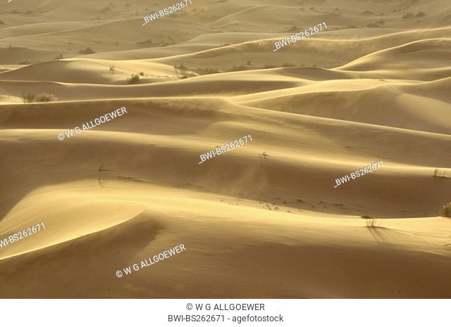 sandstorm in the desert, Morocco, Erg Chebbi, Sahara