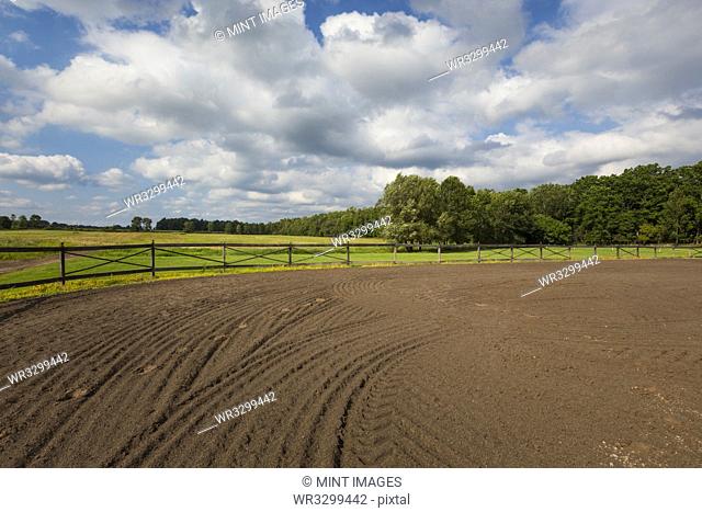 Tire tracks in riding ring on horse farm