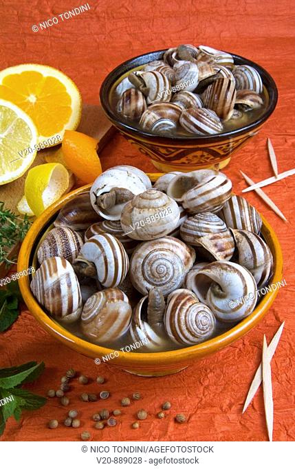 Snail broth with snails, Moroccan snails soup, Arab gastronomy