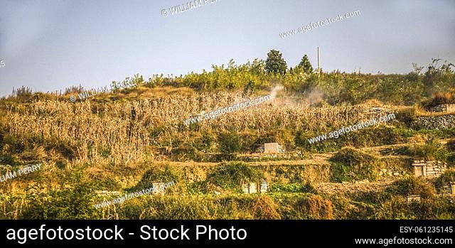 Burning fields in Guizhou China with graves of relatives . Peasants often bury their relatives in the fields in China