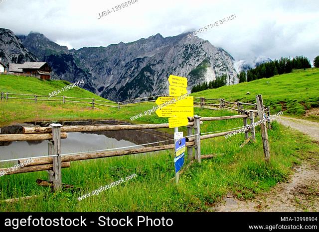 walder alm, behind it vomper chain, karwendel mountains, tyrol, austria, europe gnadenwald, view, karwendel, mountains, alps, mountain landscape, summit