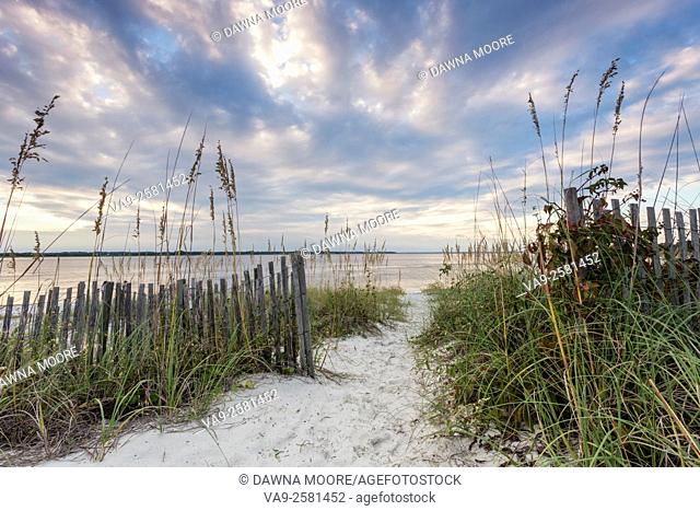 Sea oat lined dune pathway leading to the Amelia River on the South End of Amelia Island, Florida