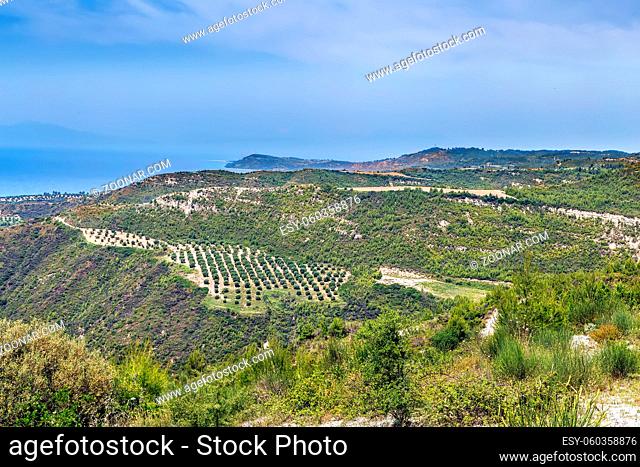 Hilly landscape on the Kassandra peninsula, Chalkidiki, Greece