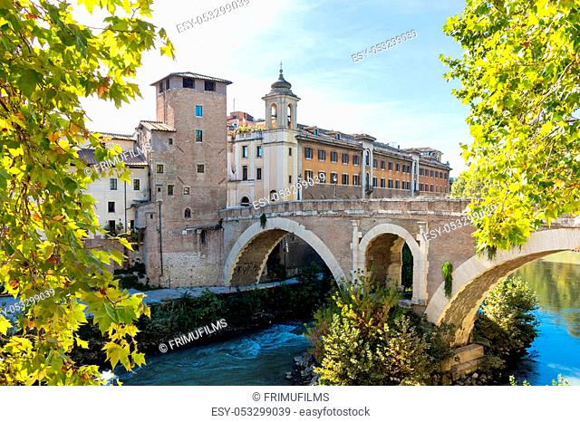 View on bridge and green trees in rome, autumn, Italy
