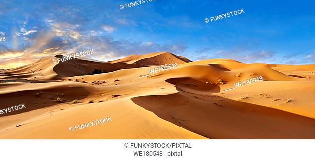 Sahara sand dunes of erg Chebbi, Morocco, Africa