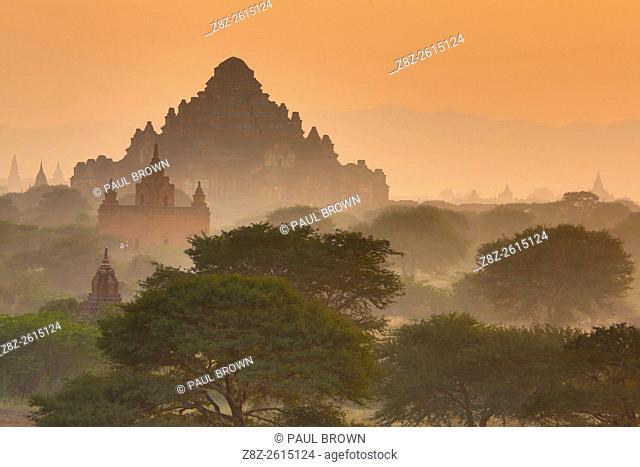 Dhammayangyi Pagaoda and Temples and pagodas at sunset on the Central Plain of Bagan, Myanmar (Burma)