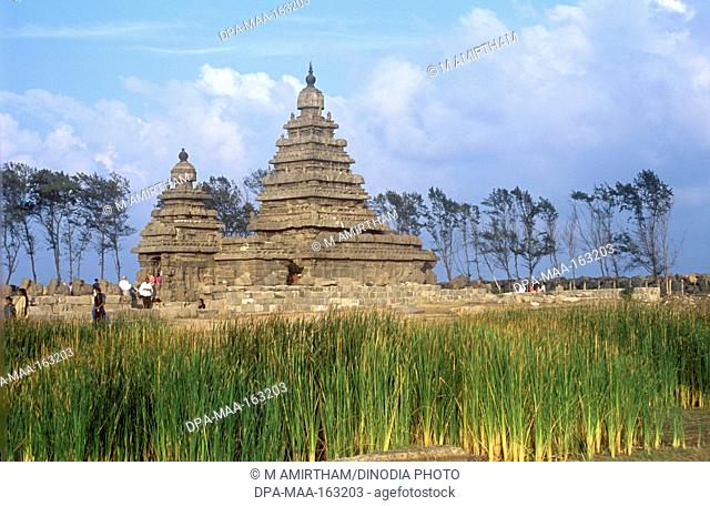 Shore temple five-storied structure in 700-728 CE in Mahabalipuram Mamallapuram ; Tamil Nadu ; India