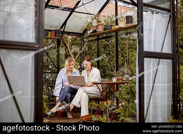 Women sitting in greenhouse and using laptop