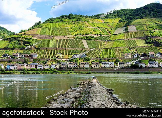 Germany, Rhineland-Palatinate, Rhine, view to Lorch (Hesse), vineyards, in the foreground Buhne