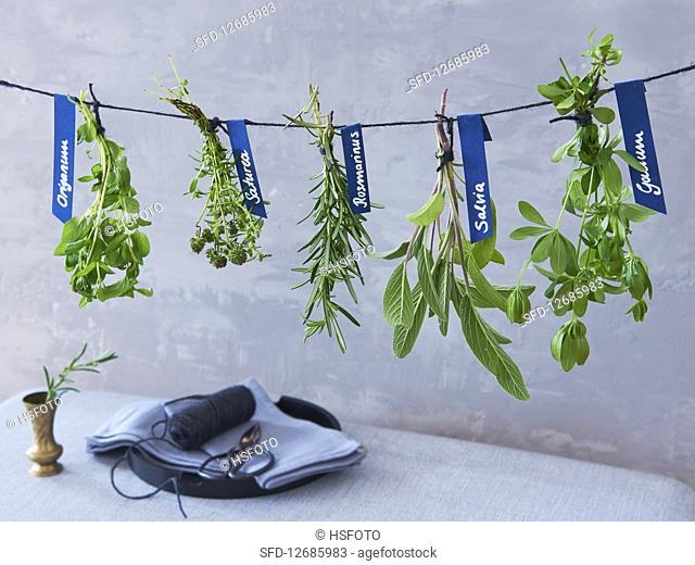 Hanging edible herbs to dry