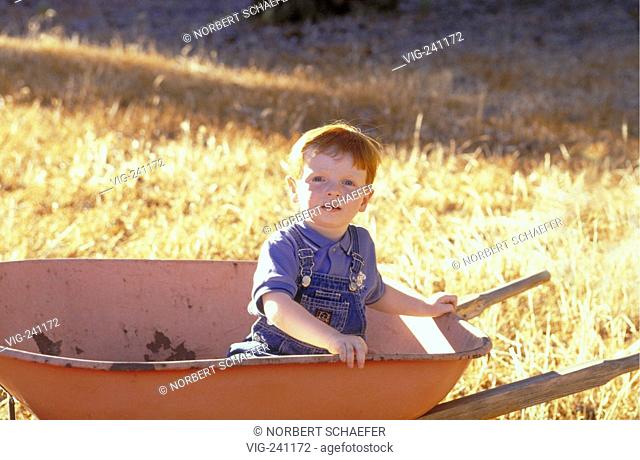 portrait, redheaded boy, 4 years, wearing jeans and canvas sits in a red wheelbarrow  - GERMANY, 25/01/2004