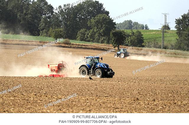 06 September 2019, Saxony, Grimma: Two tractors drive over a field near Grimma with a seed drill (front), a harrow and plenty of dust