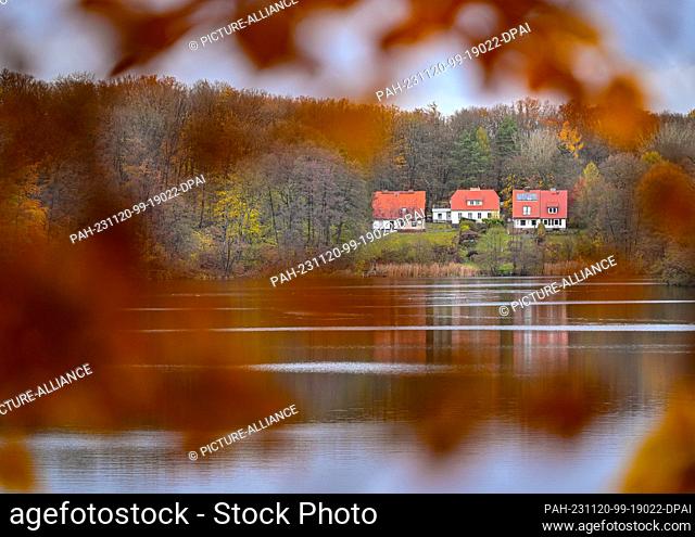 19 November 2023, Brandenburg, Siehdichum: Spätherst on the Hammersee lake in the Schlaubetal Nature Park. Founded at the end of 1995