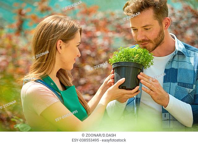 Man smelling potted plant