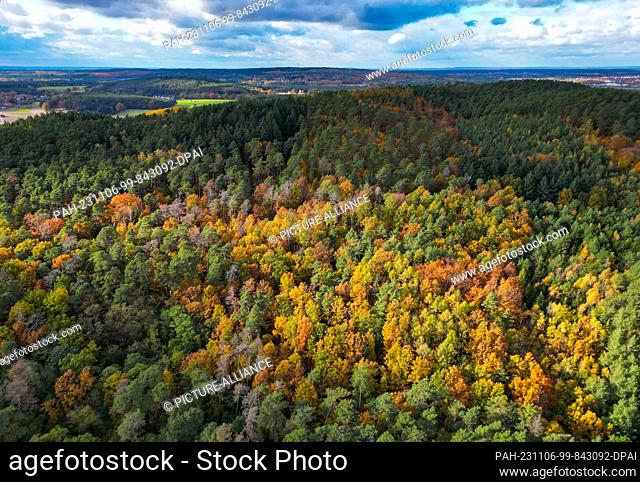 06 November 2023, Brandenburg, Fürstenwalde: Deciduous trees in a forest are colored in autumn (aerial view with a drone). Photo: Patrick Pleul/dpa