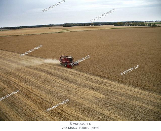 Farmer harvesting soybeans