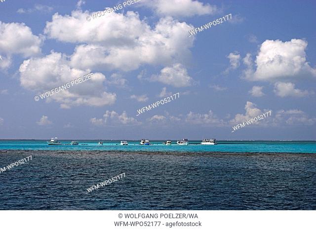 Diving Boats in Caribbean Sea, Caribbean Sea, Cayman Islands