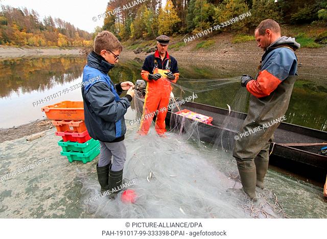 15 October 2019, Saxony-Anhalt, Hasselfelde: Professional fishermen fish the small whitefish. The small whitefish was released in the 60s as a food fish for the...