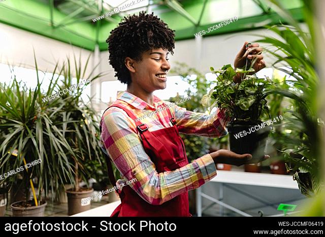 Happy gardener wearing apron holding plant at nursery