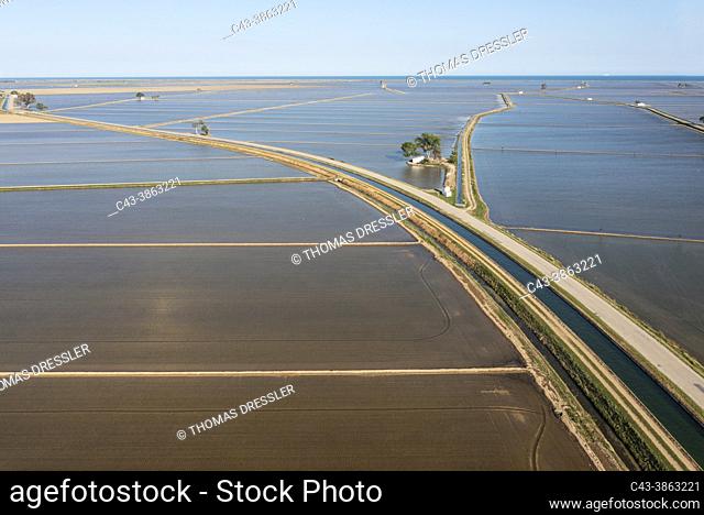 Flooded rice fields in May. Aerial view. Drone shot. Ebro Delta Nature Reserve, Tarragona province, Catalonia, Spain