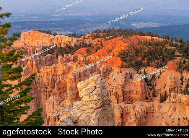Rainbow Point - a National park peak with red & pink cliffs & rock formations, spruce & fir forest & hiking trails. Bryce Canyon National Park, Utah, USA