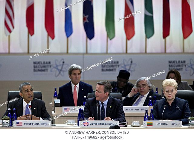 United States President Barack Obama, left, speaks during a closing session with David Cameron, U.K. prime minister, center, and Dalia Grybauskaite