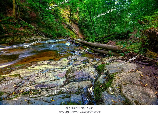 Mountain river - stream flowing through thick green forest. Stream in dense wood. Big boulders in river bed with fallen tree trunks covered in moss