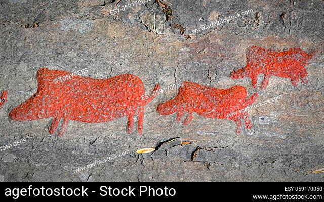 Himmelstalund is a large park famous for having one of Sweden's biggest collection of petroglyphs with more than 1660 pictures