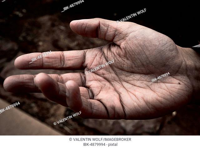Open, begging, hand of a woman, symbol picture poverty, USA