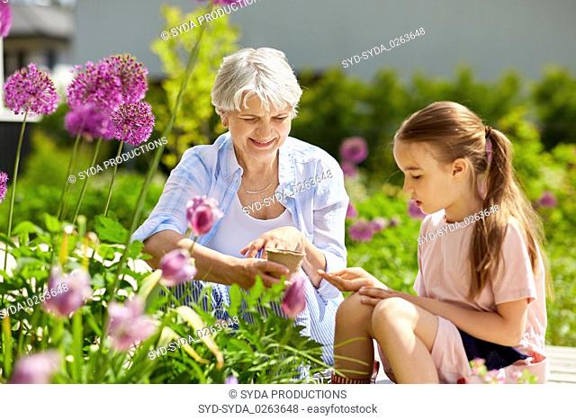 grandmother and girl seeding flowers at garden