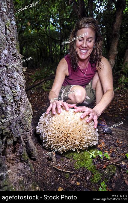 Woman looking at giant cauliflower mushroom (Genus Sparasssis) - Pisgah National Forest, Brevard, North Carolina, USA