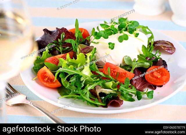 A healthy salad made from a lettuce leaves vegetables mix greens portion, arugula, tomatoes, radish sprouts and mozzarella cheese, olive oil