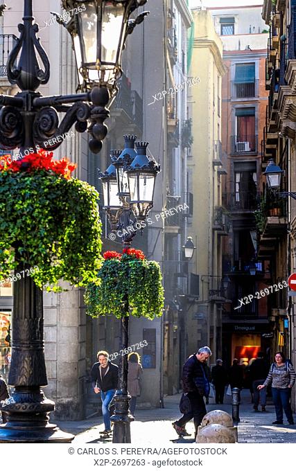 Carrer del Call street from Sant Jaume square, Barcelona, Catalonia, Spain