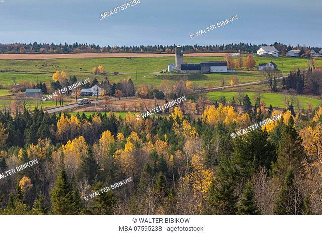 Canada, Quebec, Chaudiere-Appalaches Region, Wilson, farm, autumn by Rt 269