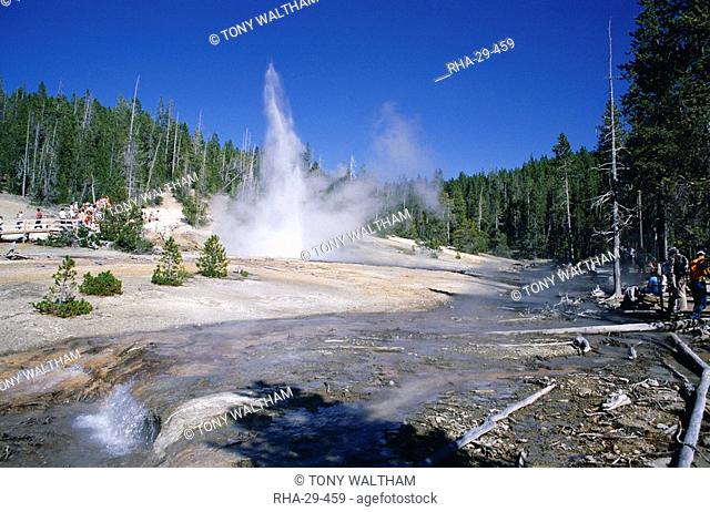 Echinus Geyser, erupts every hour in Norris Basin, Yellowstone National Park, UNESCO World Heritage Site, Wyoming, United States of America U.S.A