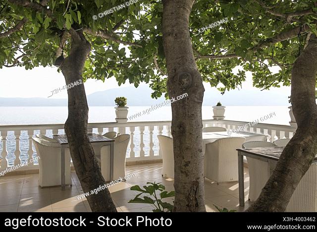Terrace facing the sea, shaded by fig trees, Liro Hotel, Vlore, seaside resort on the Adriatic Sea, Albania, Southeastern Europe