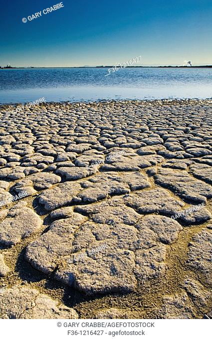 Dry cracked soil along the shoreline of the Salton Sea, Imperial Valley, California