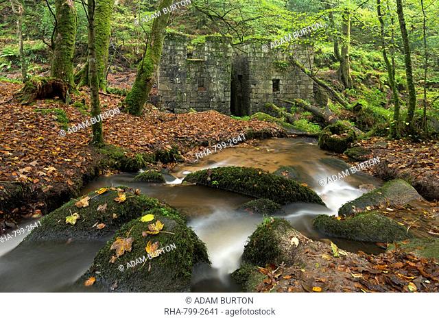 Remains of gunpowder mills at Kennall Vale Nature Reserve in Ponsanooth near Falmouth, Cornwall, England, United Kingdom, Europe