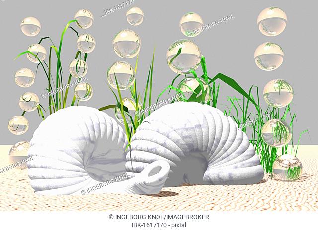 Snail shells on the bottom of the sea, 3D computer graphics