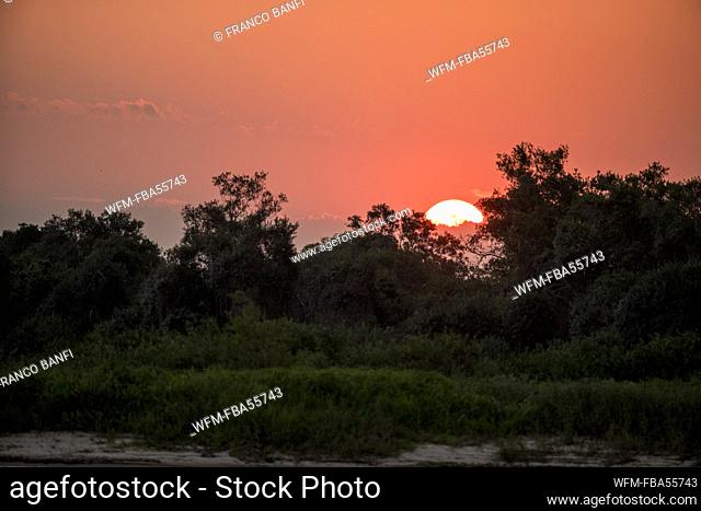 Sunset at the Wetlands, Pantanal, Mato Grosso, Brazil