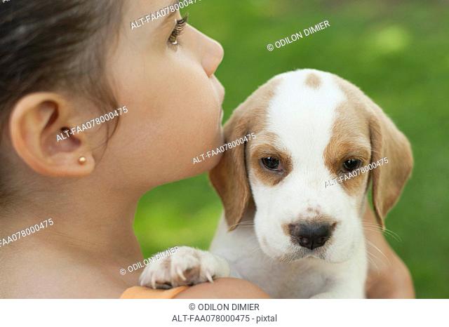Girl carrying beagle puppy, close-up