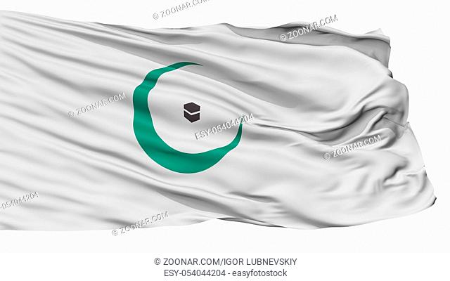 Organisation Of Islamic Cooperation Flag, Isolated On White Background