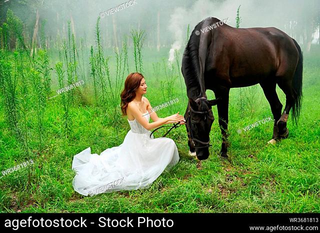 The wedding dress young woman and a horse on the grass