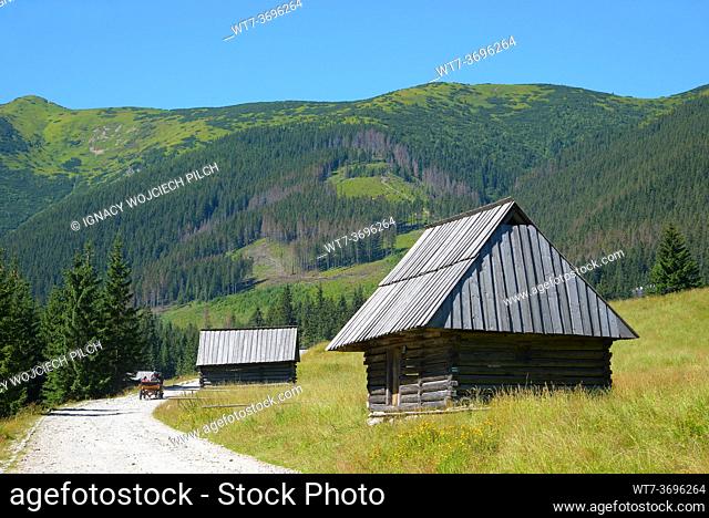 Woode shpherd's huts in the Chocholowska Clearing