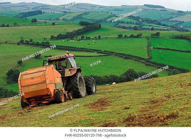 Tractor pulling baler, baling bracken for animal bedding on hill farm, Wales
